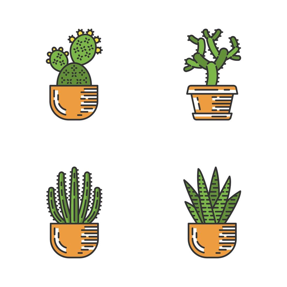 House cacti in pot color icons set. Succulents. Spiny plants. Prickly pear, cholla, zebra cactus, organ pipe. Isolated vector illustrations