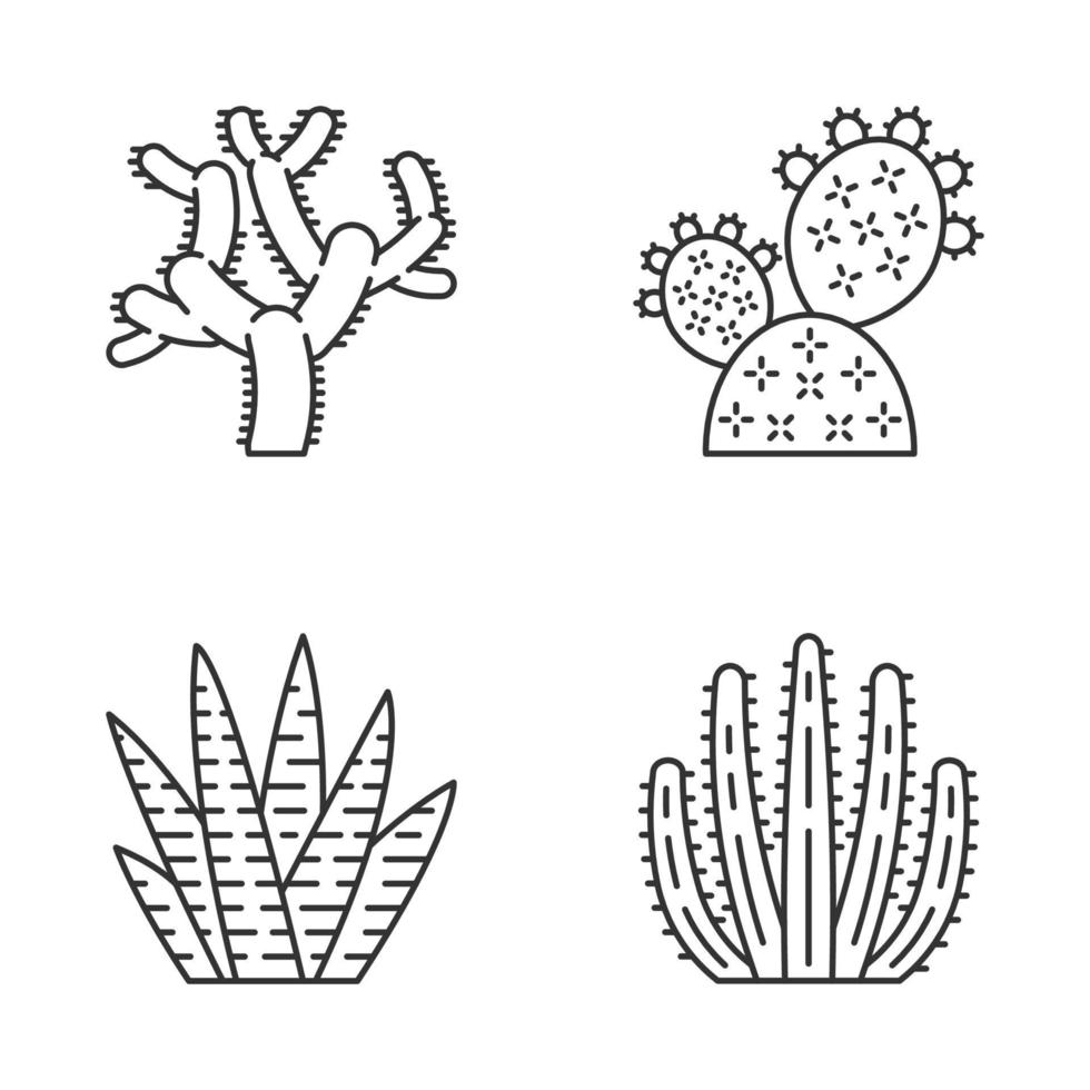 Wild cactus linear icons set. Green succulents. Exotic mexican flora. Chola, prickly pear, zebra cactus, organ pipe cacti. Thin line contour symbols. Isolated vector outline icons. Editable stroke