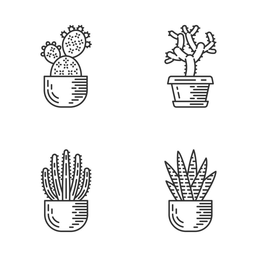 House cacti in pot linear icons set. Succulents. Spiny plants. Prickly pear, cholla, zebra cactus, organ pipe. Thin line contour symbols. Isolated vector outline illustrations. Editable stroke