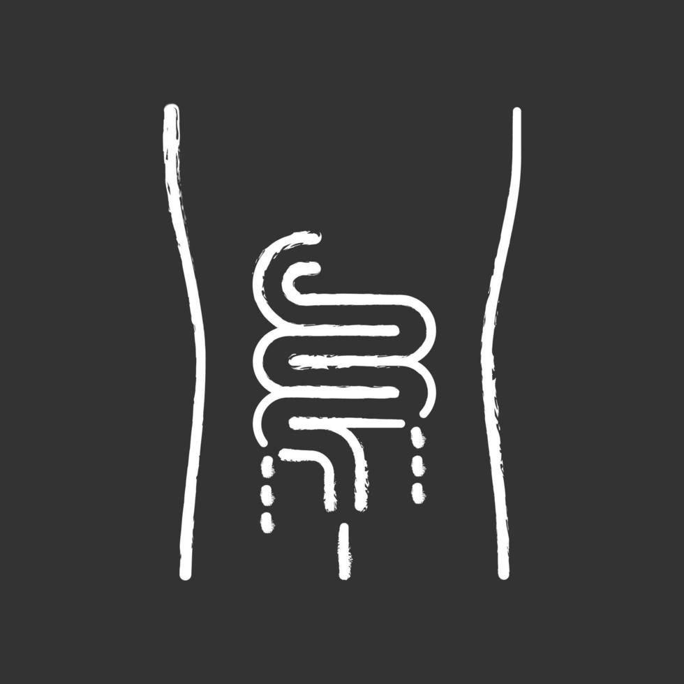 Ill intestines chalk icon. Sore human organ. People disease. Unhealthy digestive system. Sick internal body part. Gastrointestinal tract. Isolated vector chalkboard illustration