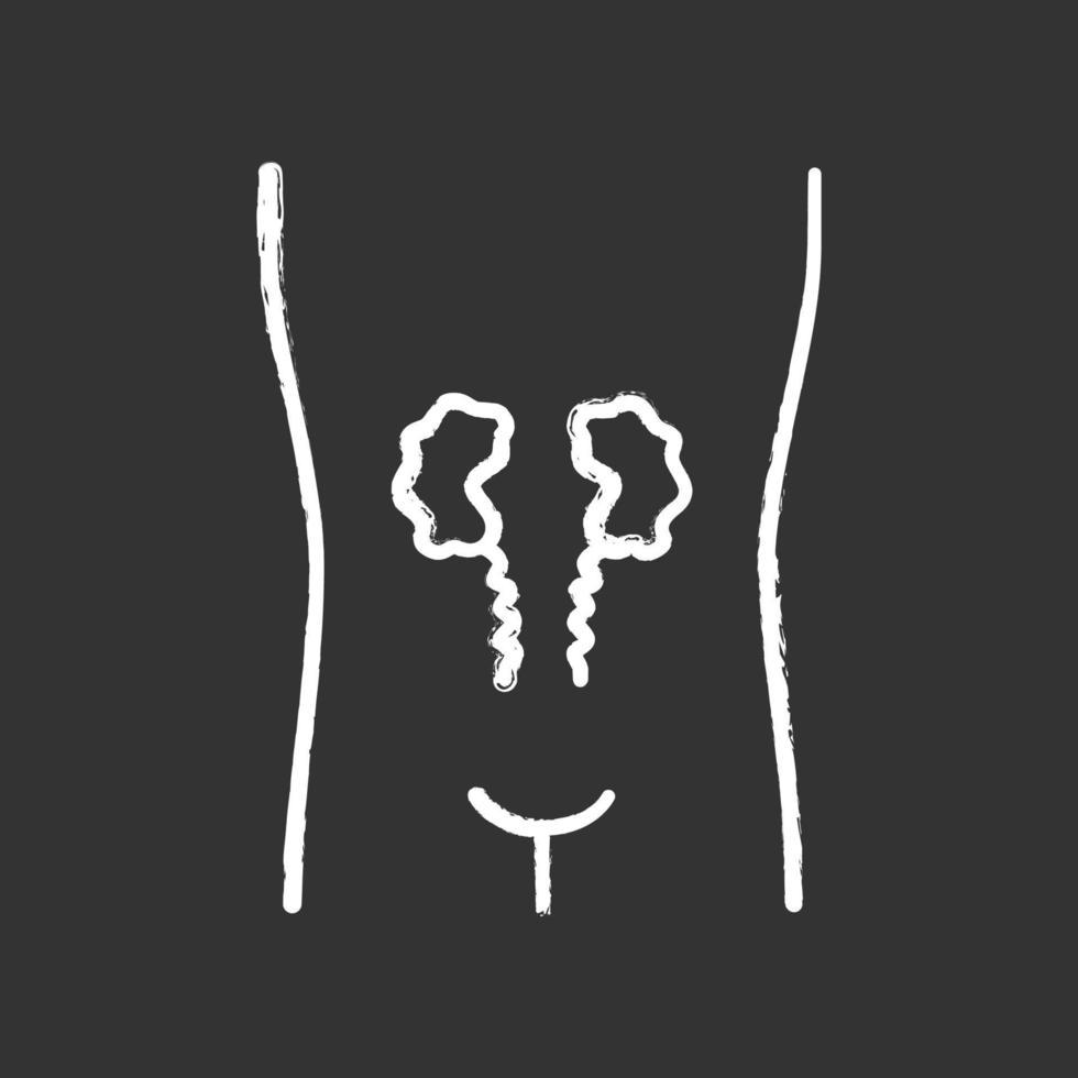 Ill kidneys chalk icon. Sore human organ. Unhealthy urinary system. Nephropathy. Sick internal body part. Kidney failure. Isolated vector chalkboard illustration