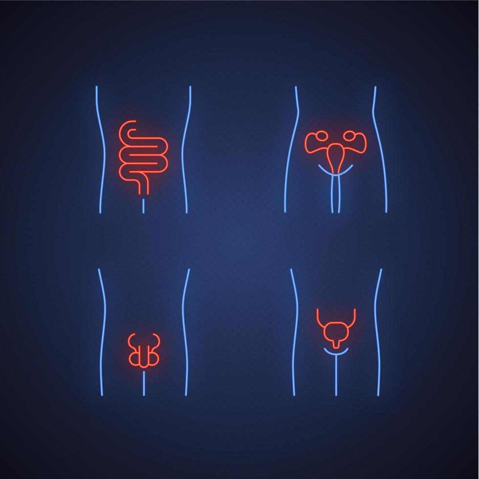 Healthy human organs neon light icons set. Intestines and urinary bladder in good health. Functioning men and women reproductive systems. Fertility. Glowing signs. Vector isolated illustrations