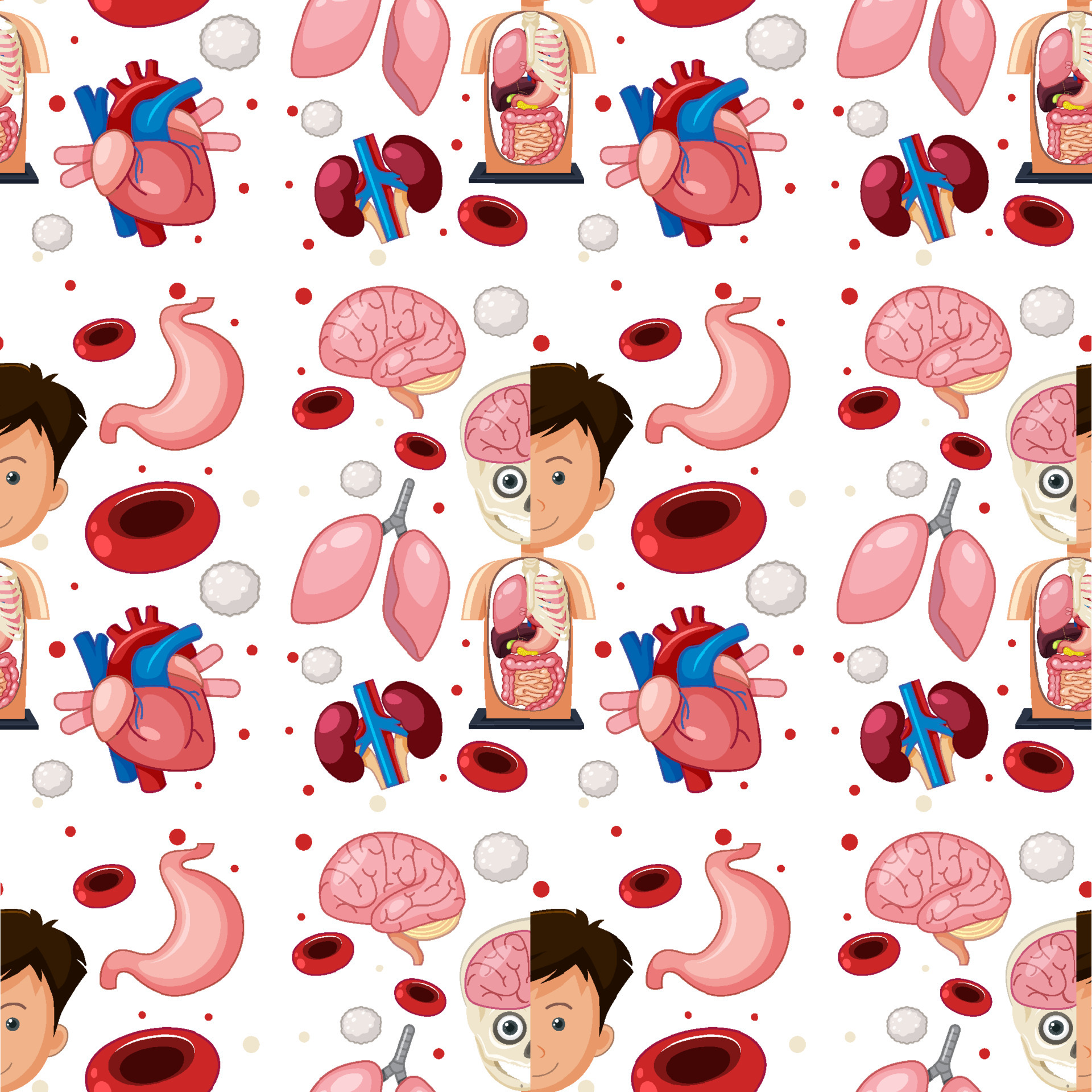 Human body parts anatomy seamless background 4330406 Vector Art at Vecteezy