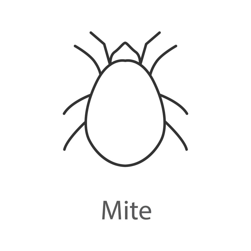 Mite linear icon. Acari. Thin line illustration. Contour symbol. Vector isolated outline drawing