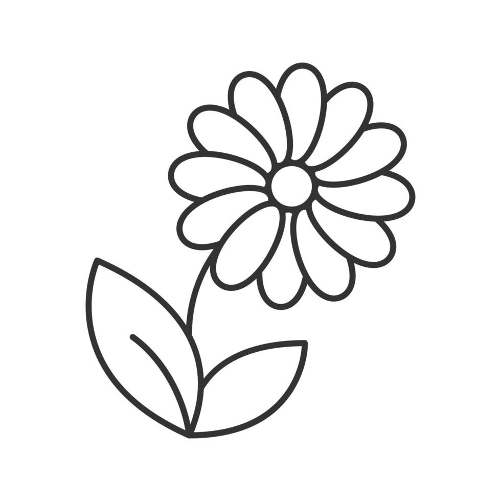 Camomile linear icon. Thin line illustration. Flower contour symbol. Vector isolated outline drawing