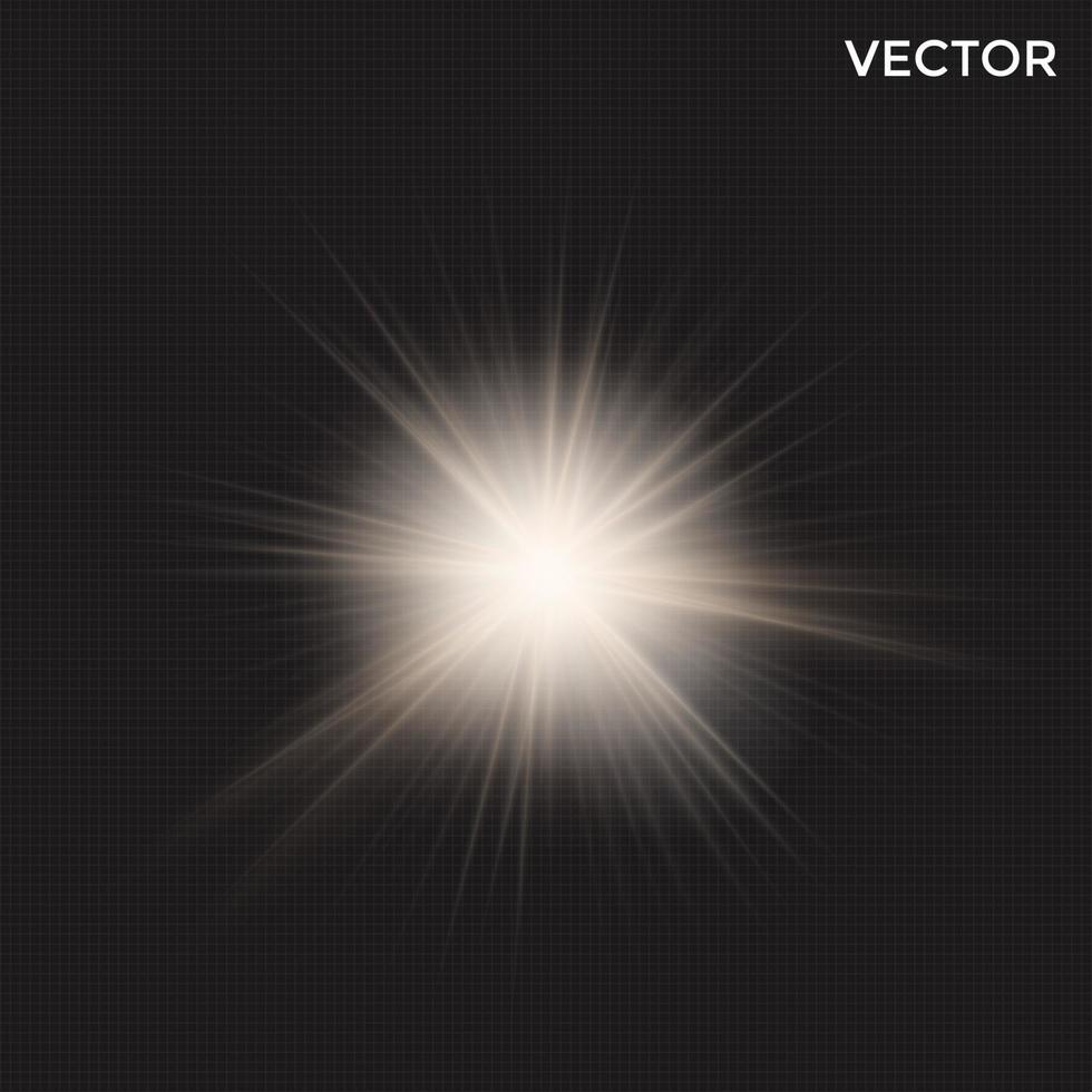 starburst light vector