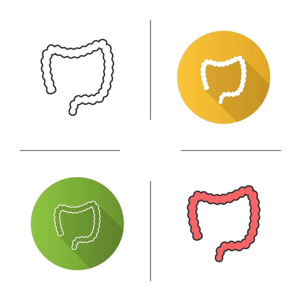 Large intestine icon. Large bowel. Gastrointestinal tract. Flat design, linear and color styles. Isolated vector illustrations