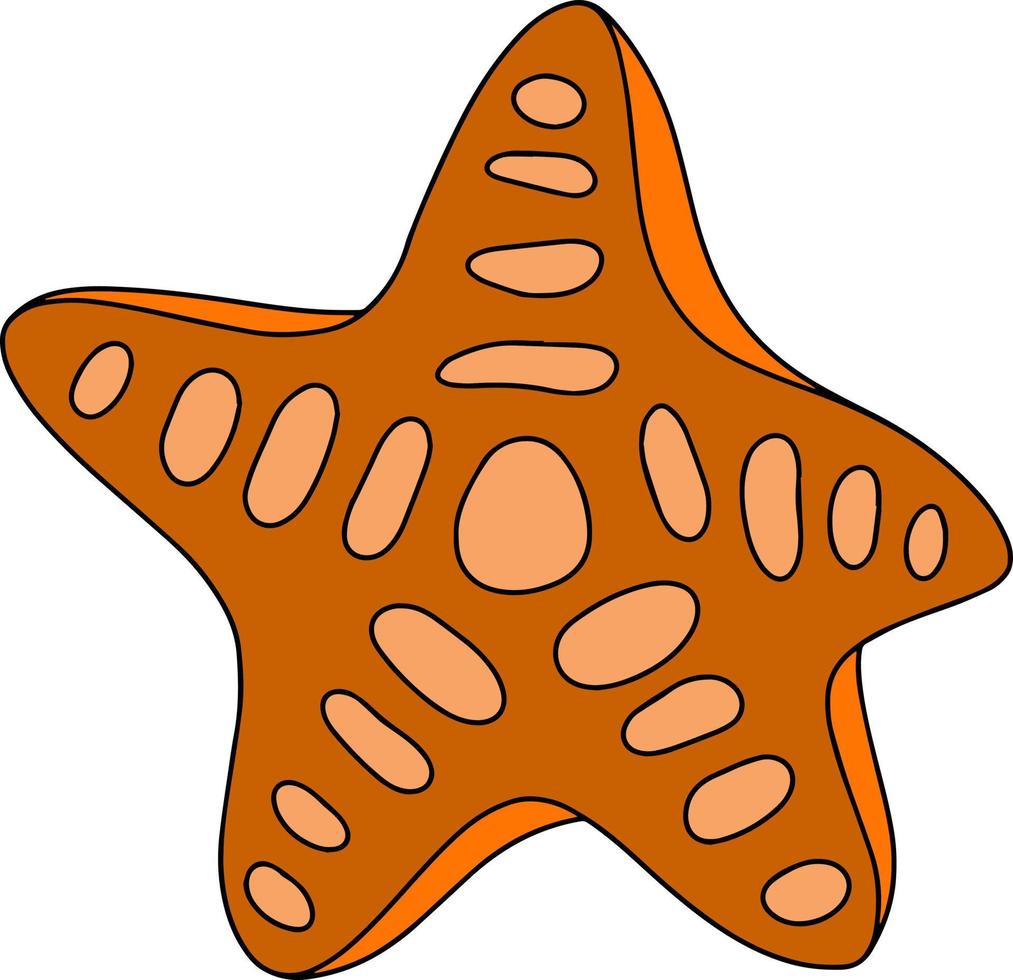 Vector isolated ocean exotic orange starfish illustration. Sea life design element. Ocean animal