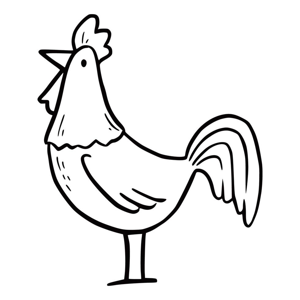 gallo de pollo dibujado a mano. garabatear vector