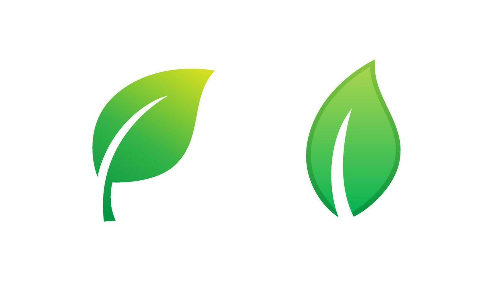 vector de icono o logotipo de hoja verde