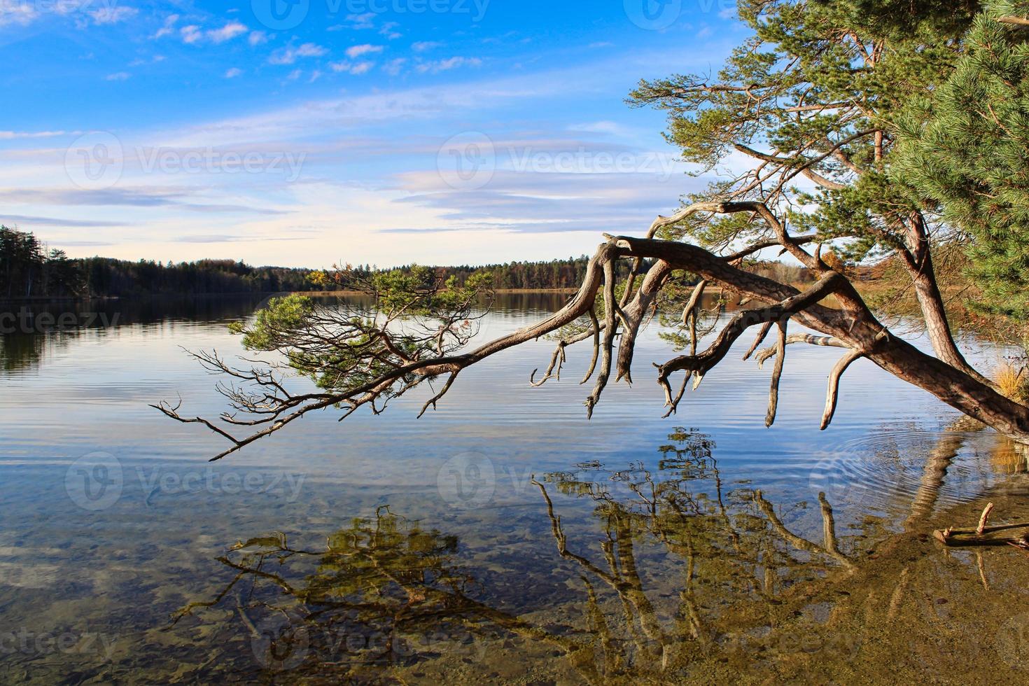 Romantic photo of a lake with perfect sun reflections on the water