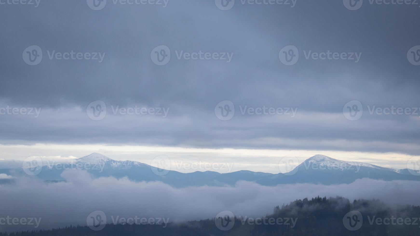 Misty foggy mountain landscape with fir forest and copyspace photo