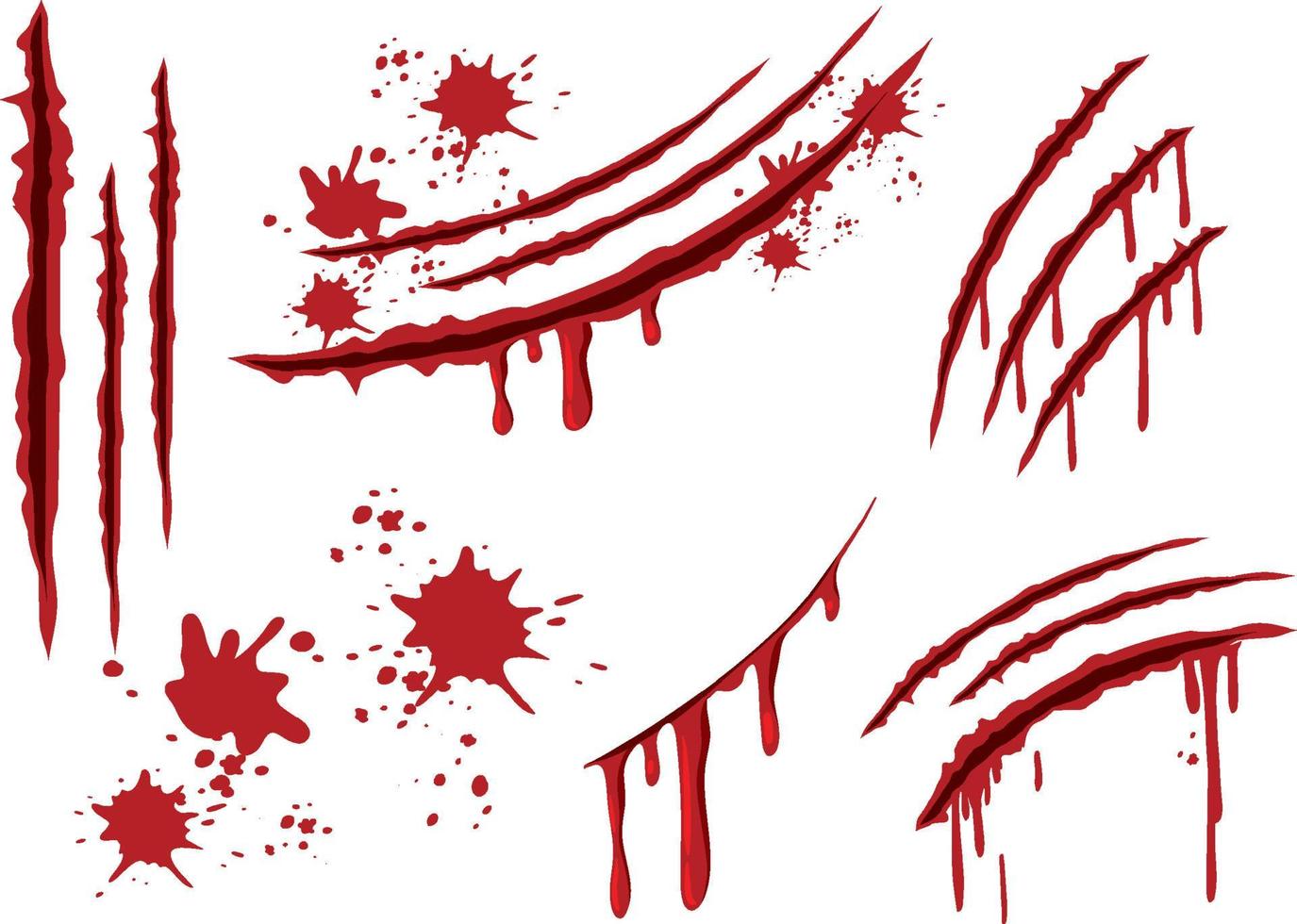 Blood claw scratch wounds on white background vector