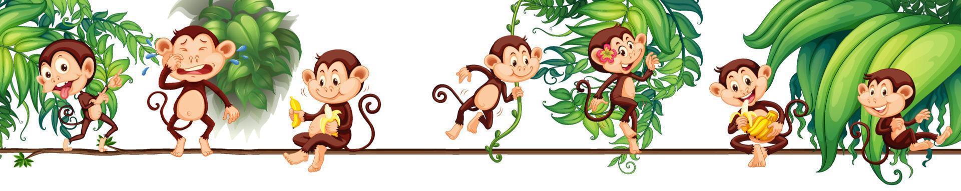 Diferentes personajes de dibujos animados de monos en la cuerda con hojas tropicales. vector