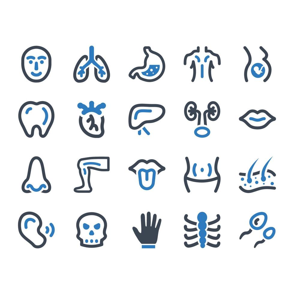 conjunto de iconos de cuerpo humano - ilustración vectorial. cuerpo, órgano, corazón, hígado, riñón, pulmones, células, mano, iconos. vector