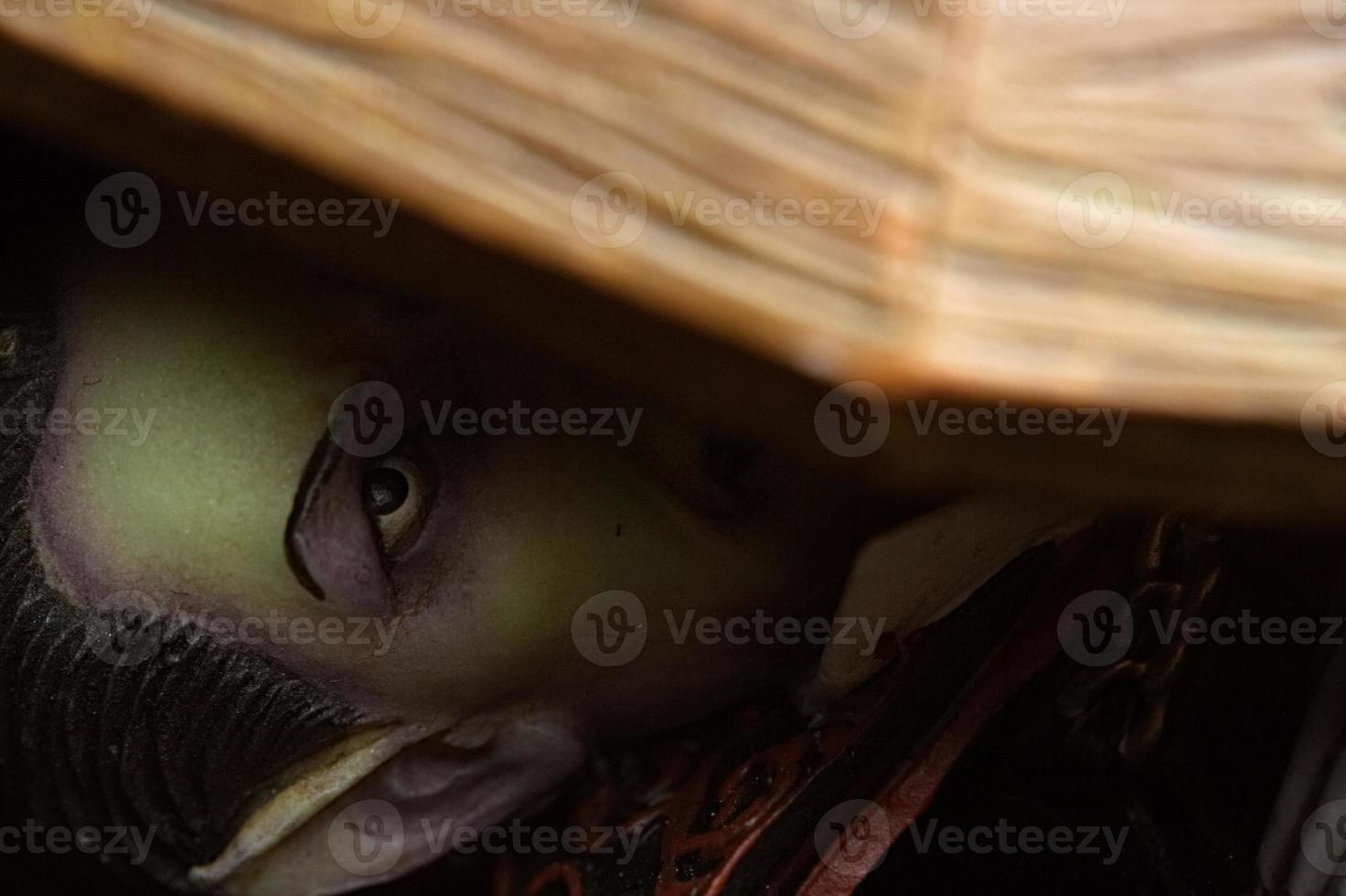 vampiro en ataúd foto