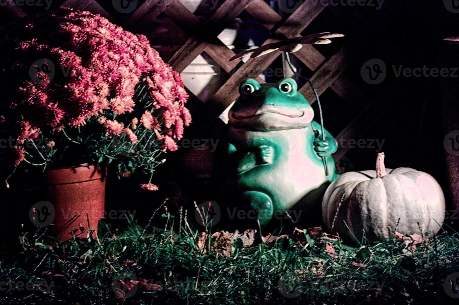 Frog statuette and pumpkin photo
