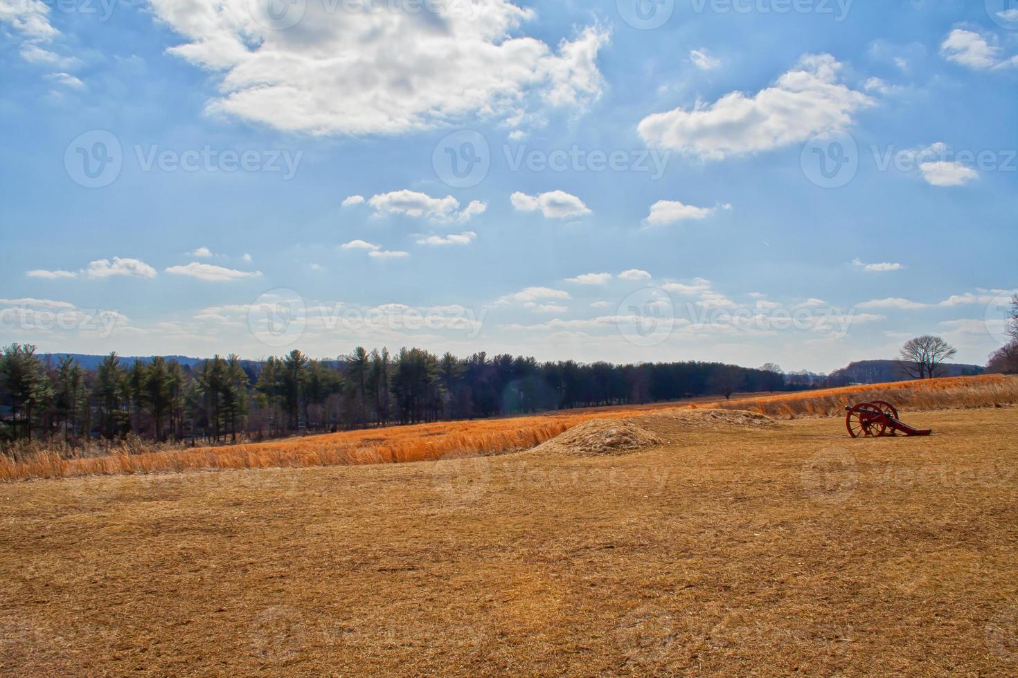 Field with cannon photo