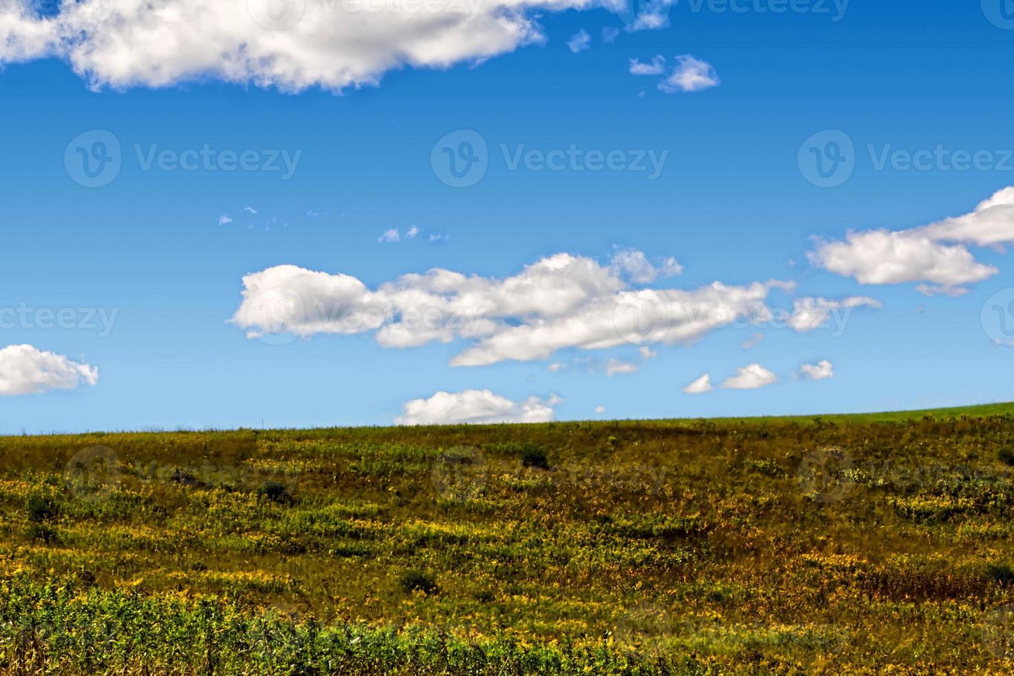 Field with clouds photo