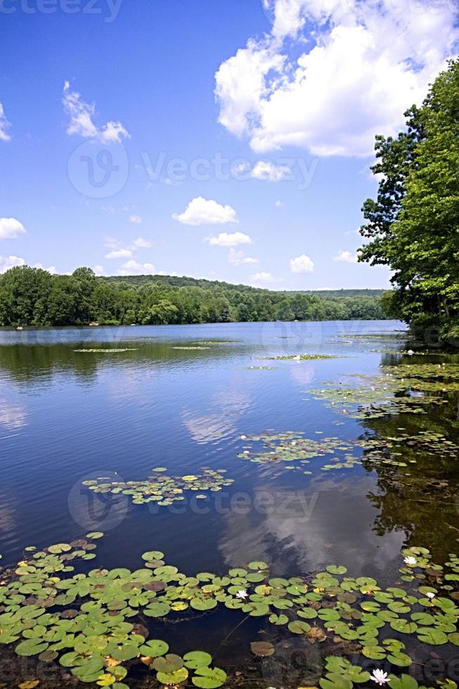 Lake with water lillies photo