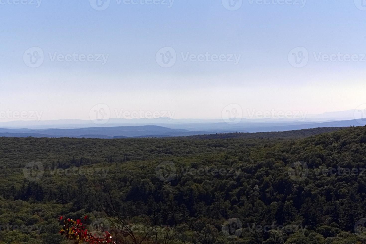 vista del bosque y cielo foto