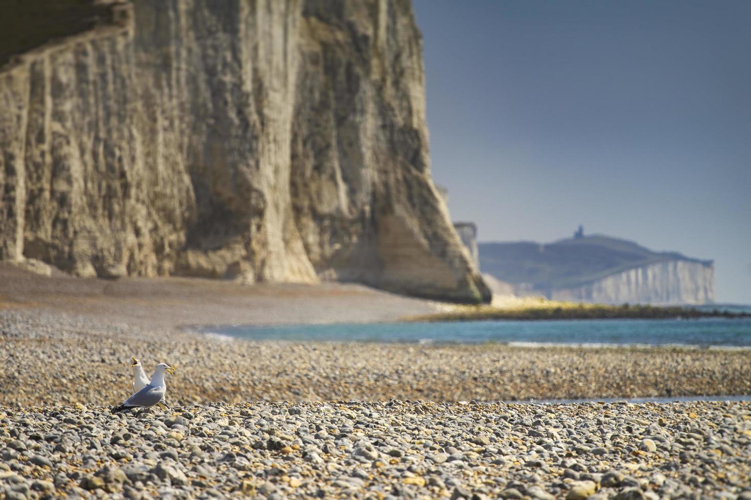 Cuckmere Haven Seaford photo