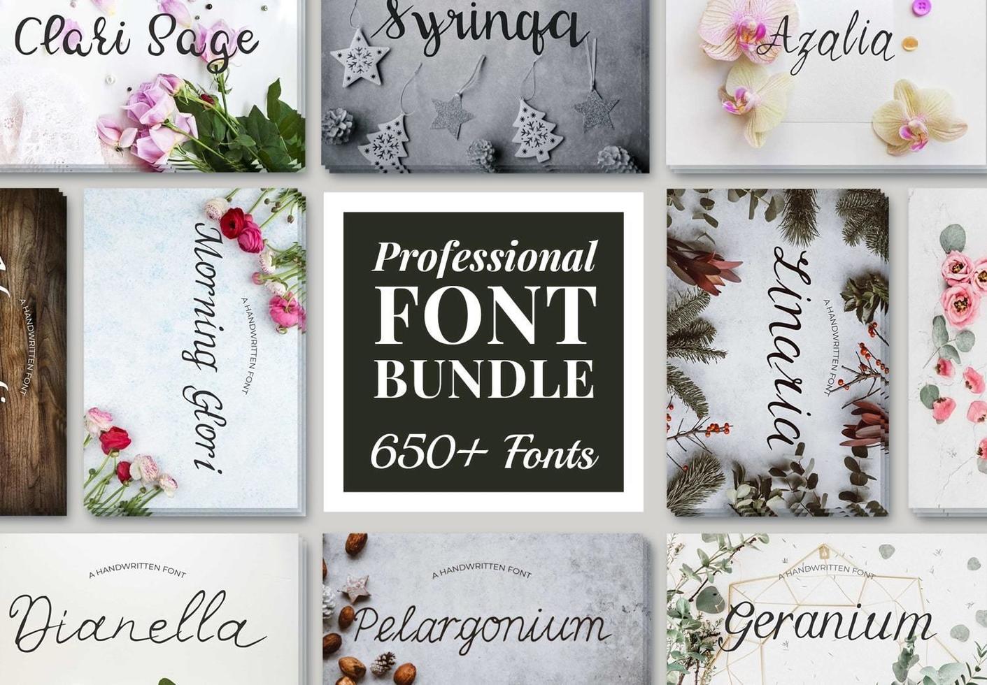 650+ Professional Font Bundle