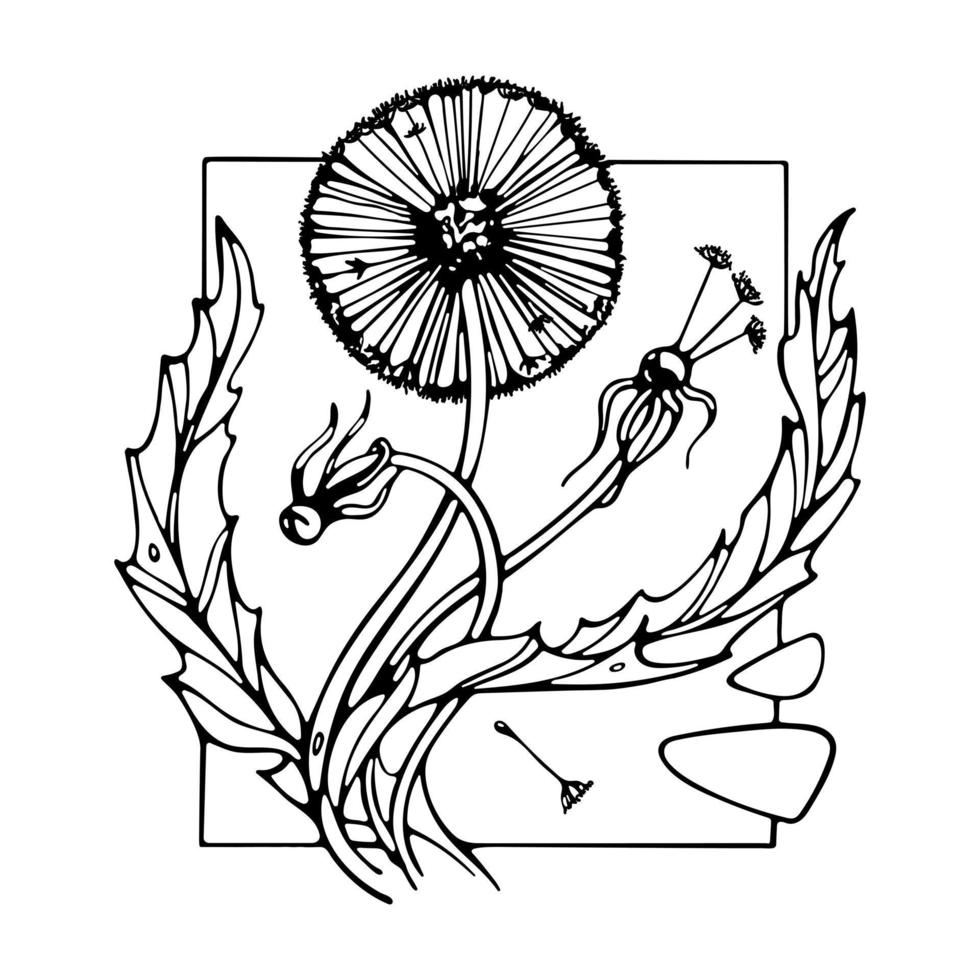 Dandelion Hand-drawn Outline Vector Illustration. For Coloring book, logo, emblem