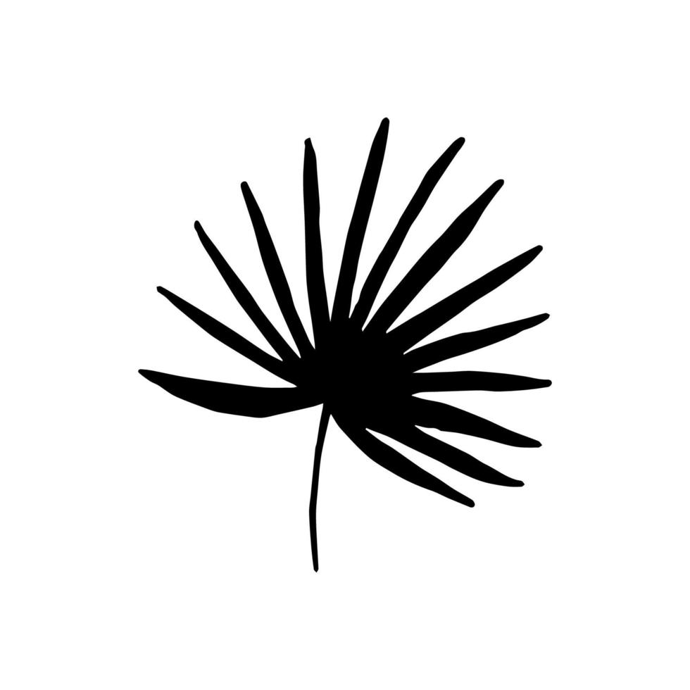 Sketch tropical fan palm leaf in line art style. Doodle outline jungle plant vector