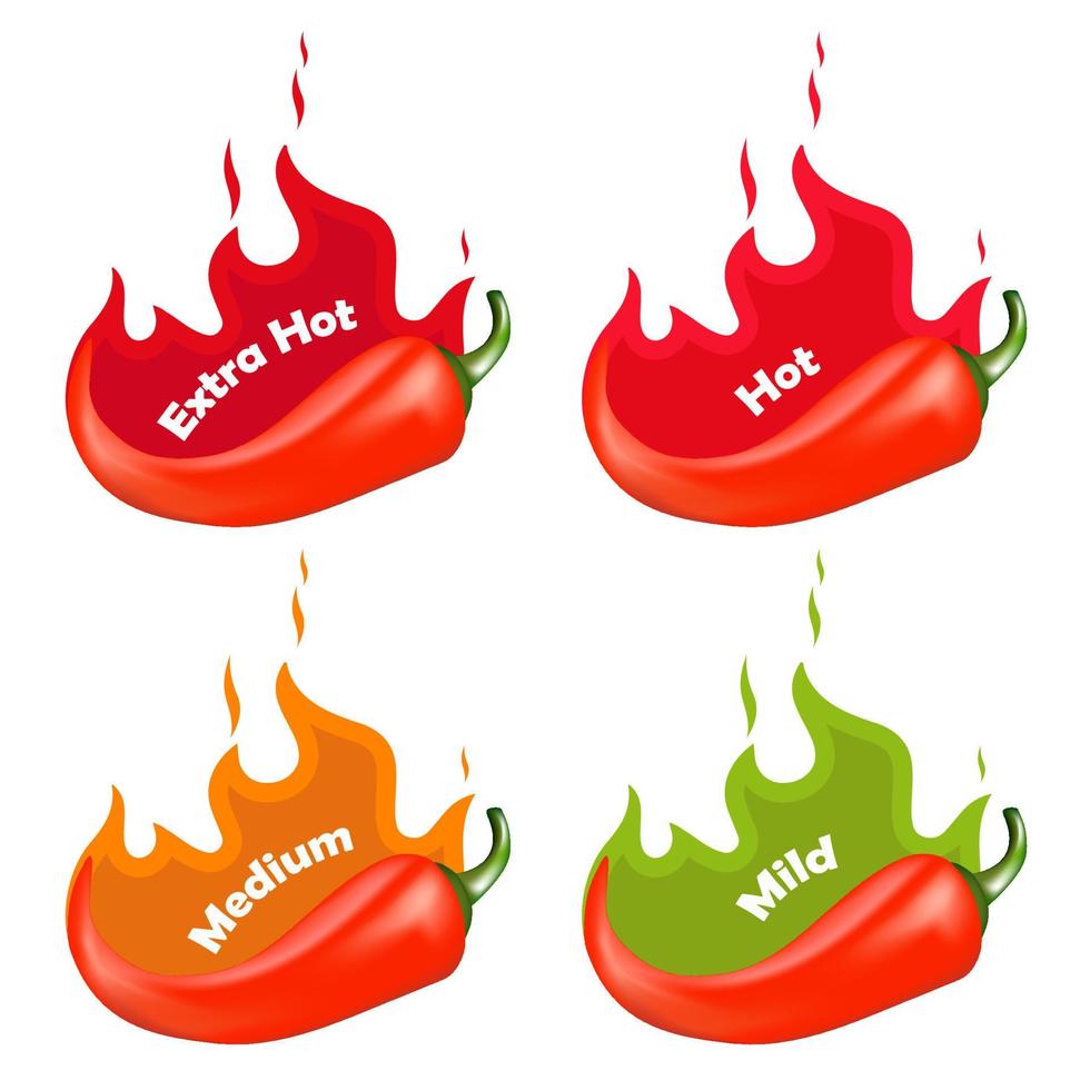 Chili Pepper Spice Levels. Hot pepper sign with fire flame for packing spicy food. Vector illustration.