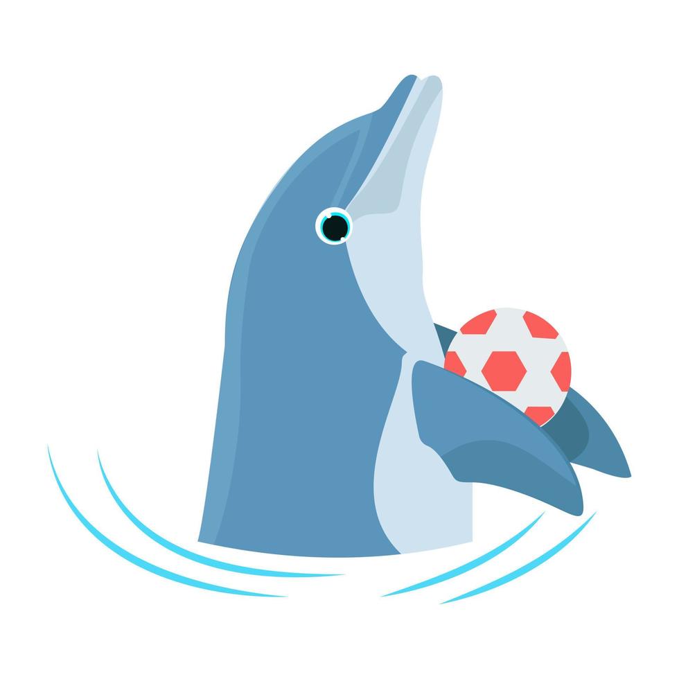 conceptos de juego de delfines vector