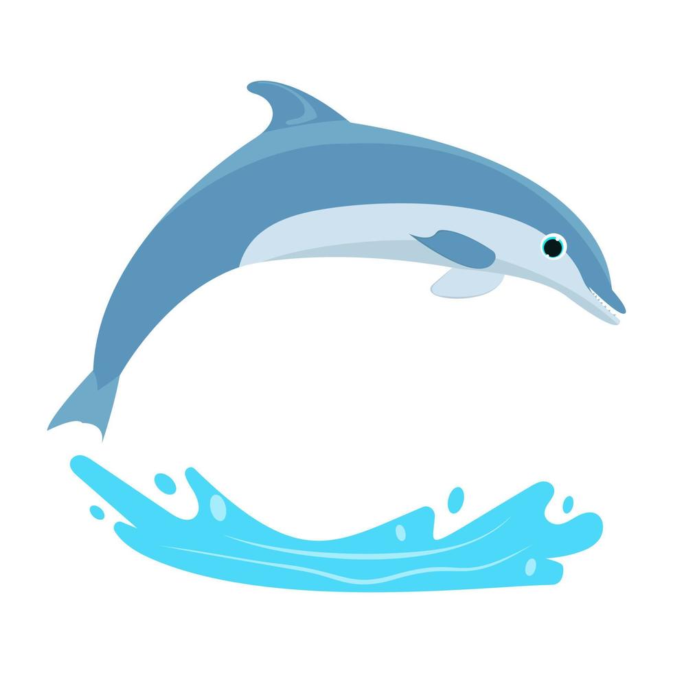 Jumping Dolphin Concepts vector