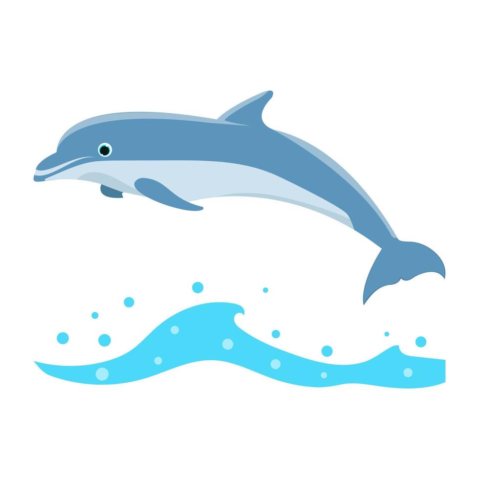 Cartoon Dolphin Concepts vector