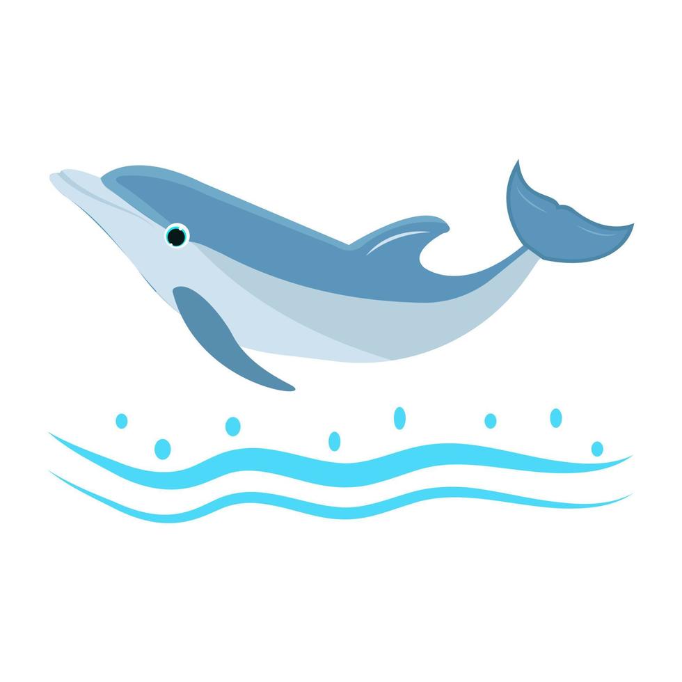 Dolphin Swimming Concepts vector