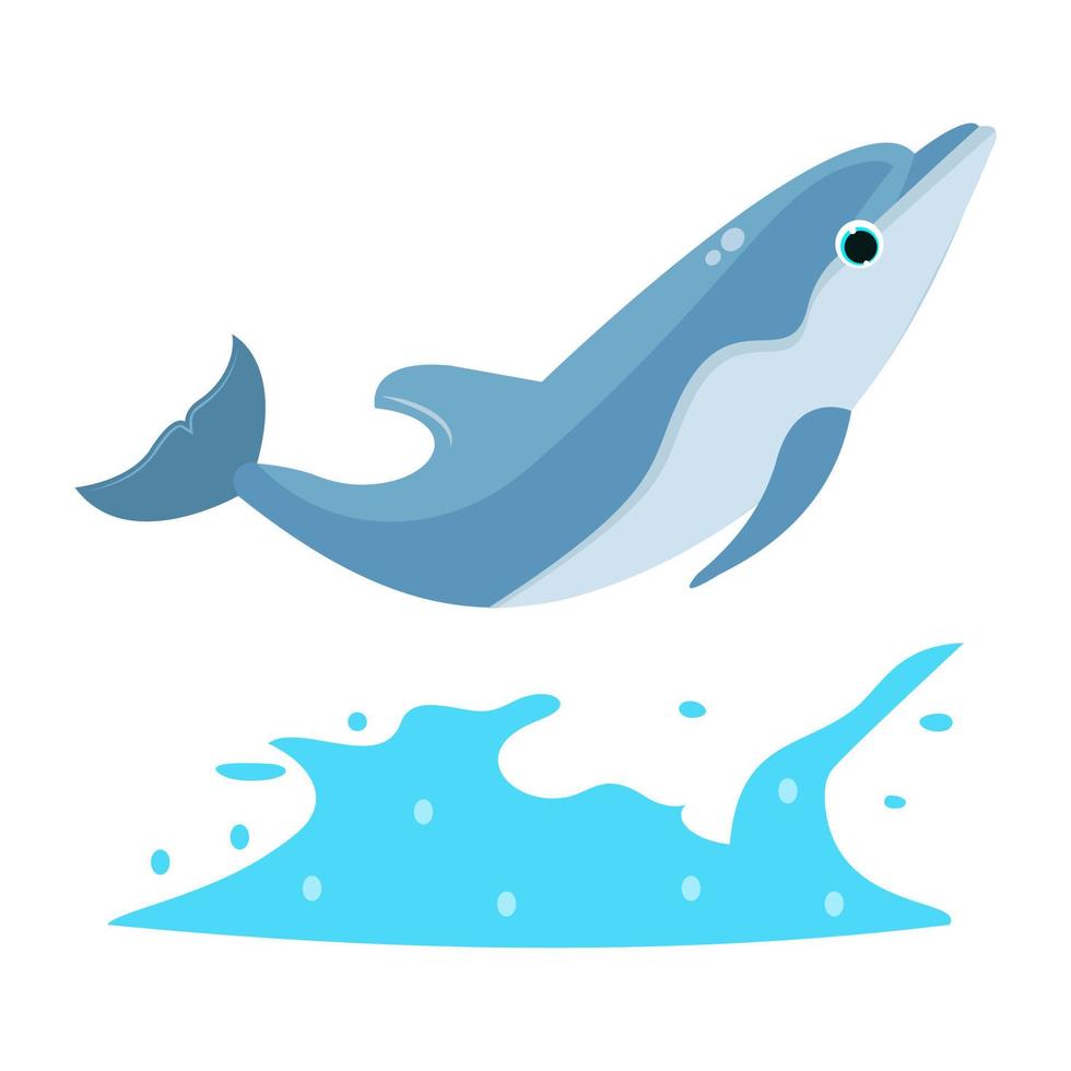 Dolphin Swimming Concepts vector