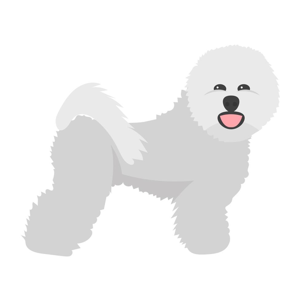 conceptos de bichon frise vector