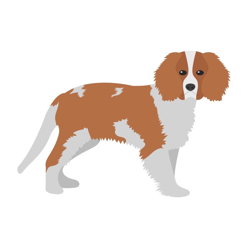 conceptos de beagle de moda vector