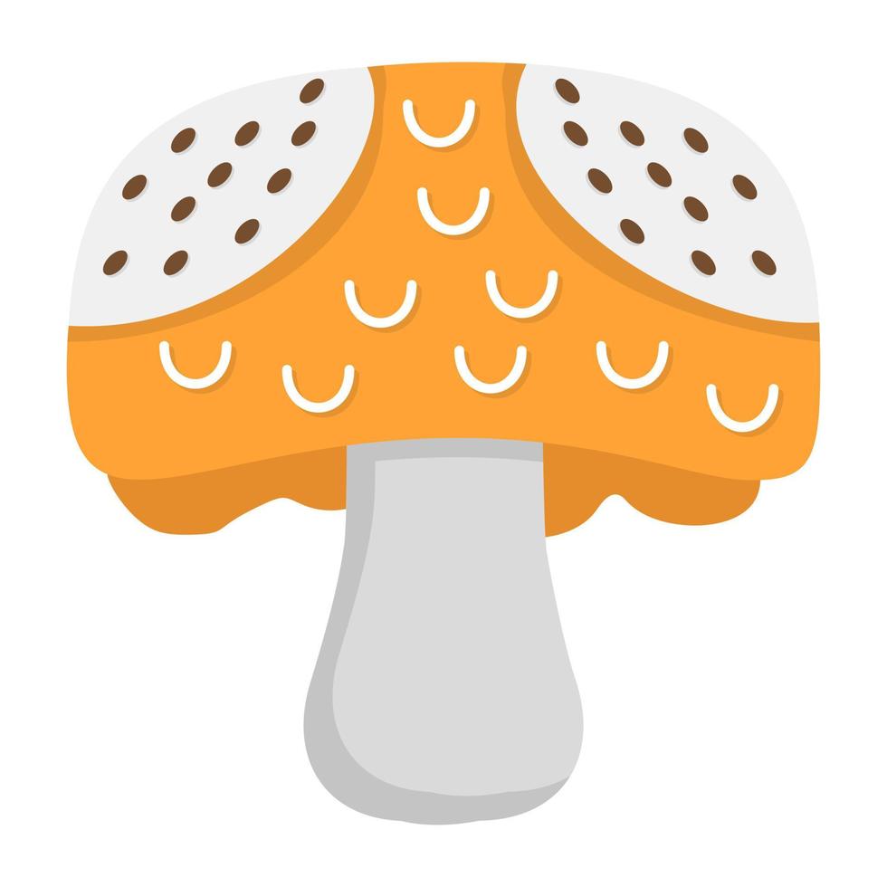 Trendy Toadstool Concepts vector