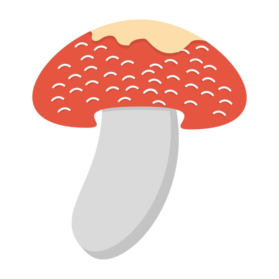 Edible Mushroom Concepts vector