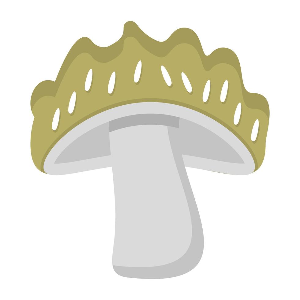 Trendy Morel Concepts vector