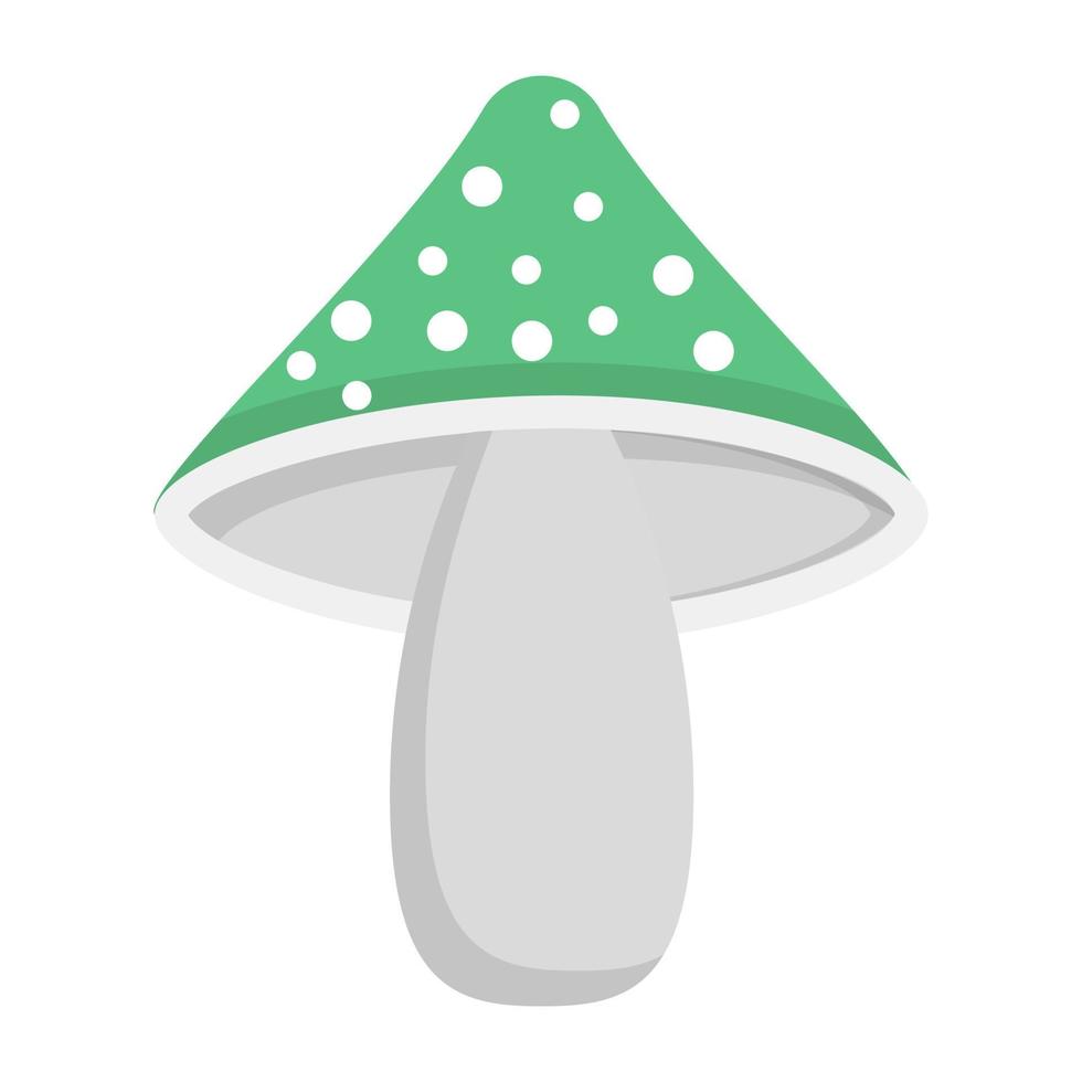 Edible Mushroom Concepts vector