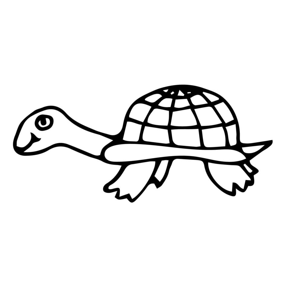 Cartoon doodle linear turtle isolated on white background. Childlike style. vector