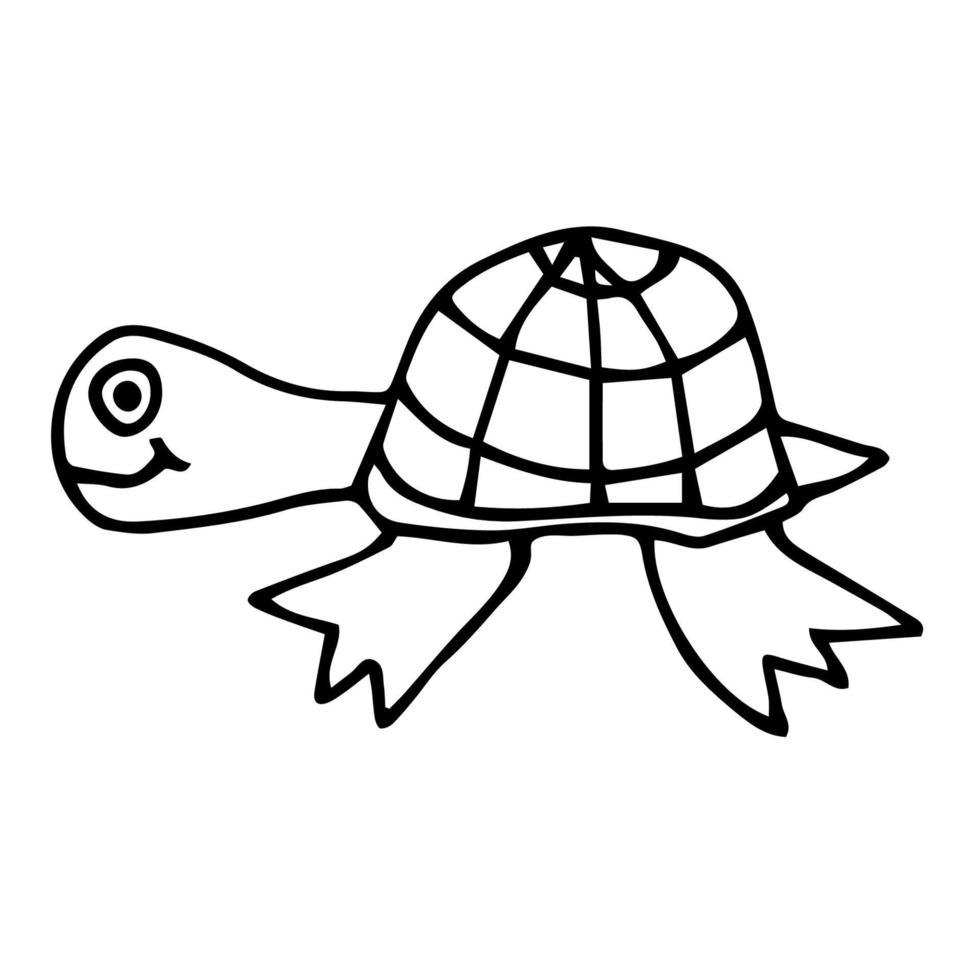 Cartoon doodle linear turtle isolated on white background. Childlike style. vector