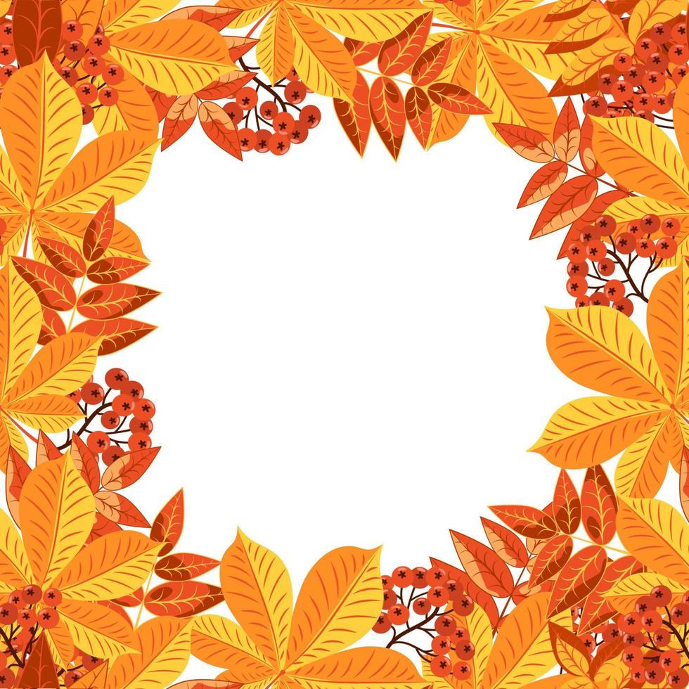 Autumn colorful square frame of leaves. Autumn yellow foliage of trees, red rowan berries, collected in a frame. vector