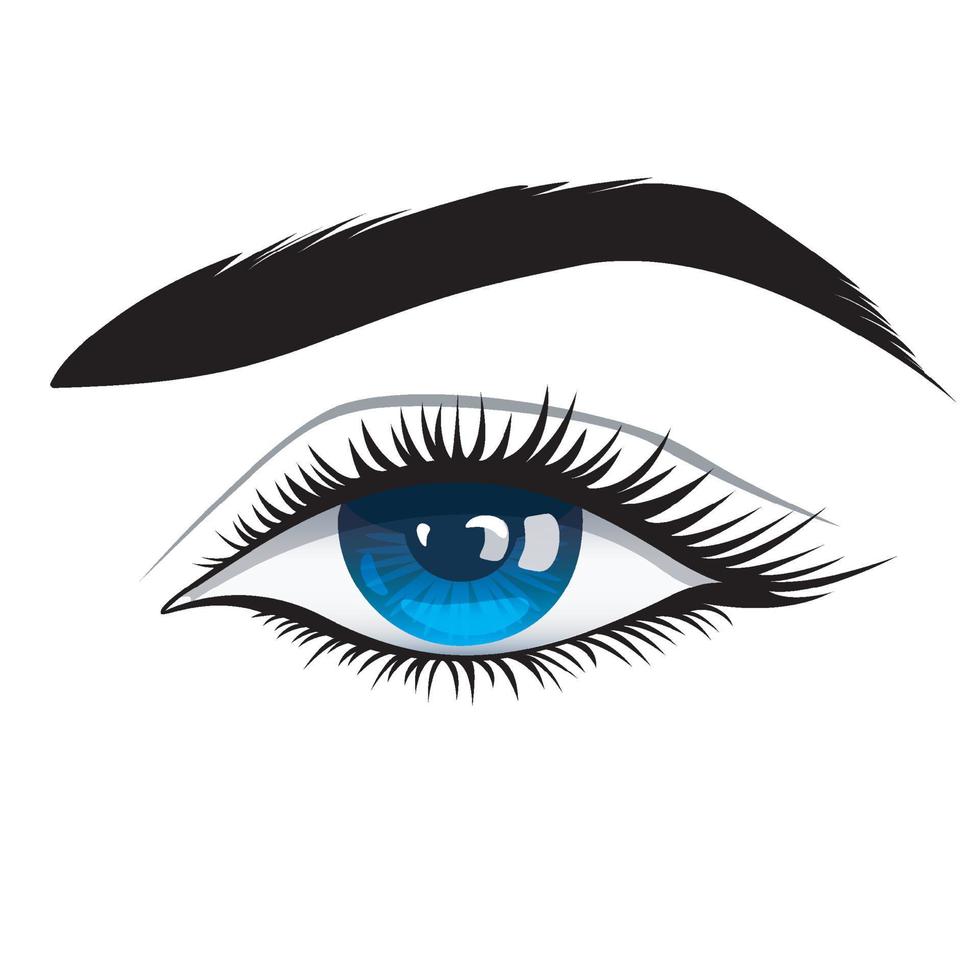 hermoso ojo azul femenino con pestañas negras gruesas. ilustración vectorial de un ojo con maquillaje sobre un fondo blanco. vector