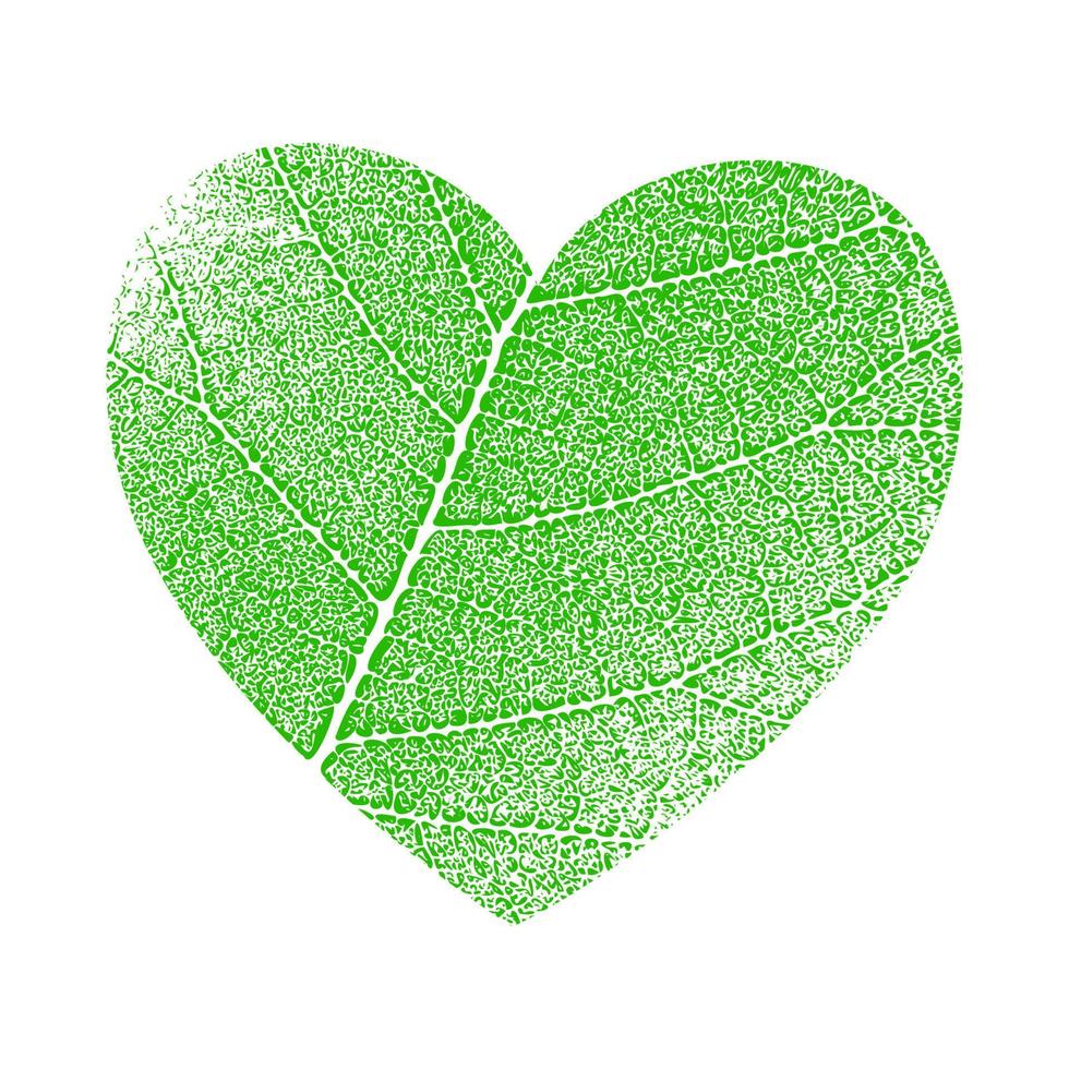 Green vector icon with heart shape and two leaves. Element for design, concepts of ecological, vegan, herbal health or nature conservation.