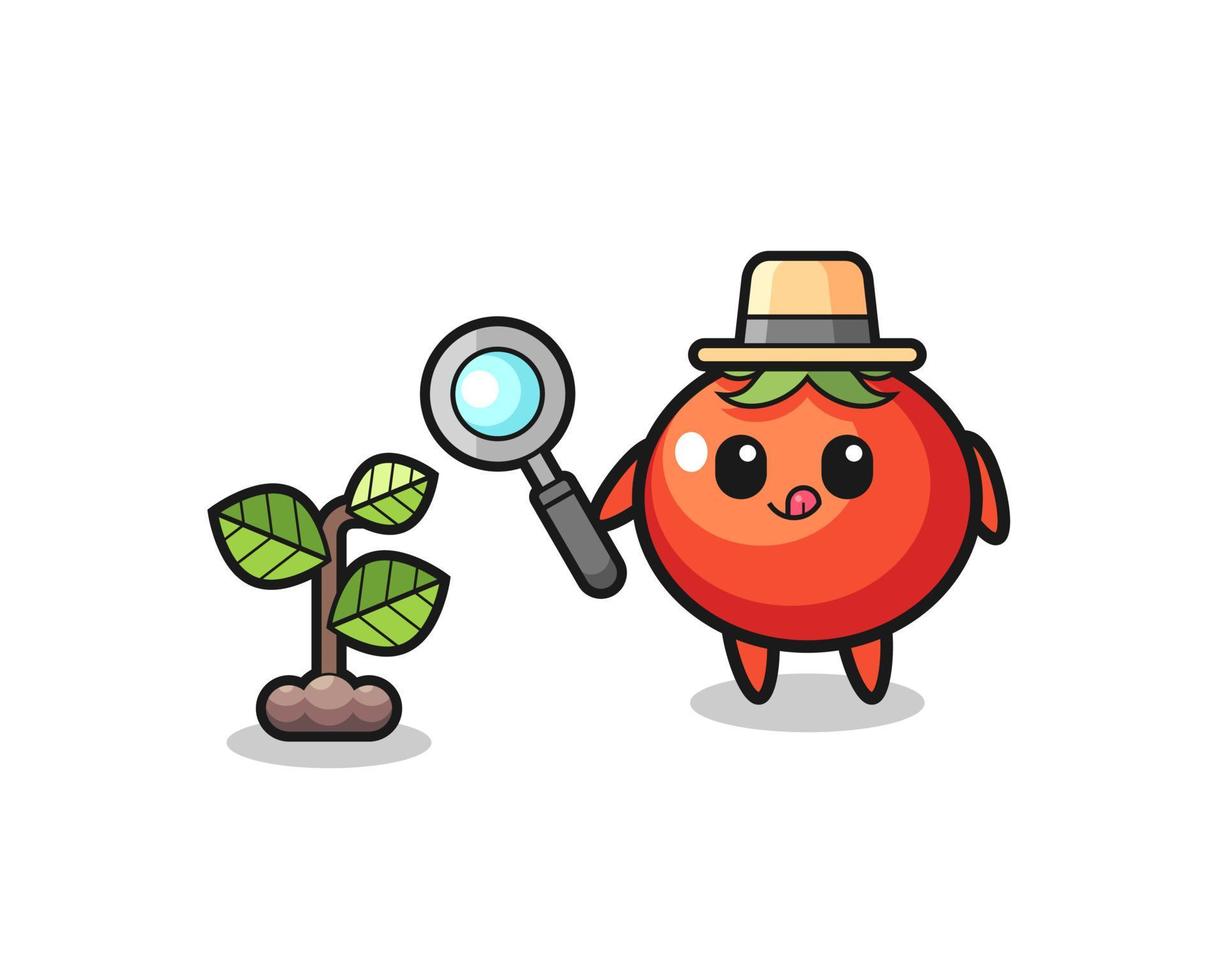 cute tomatoes herbalist researching a plants vector
