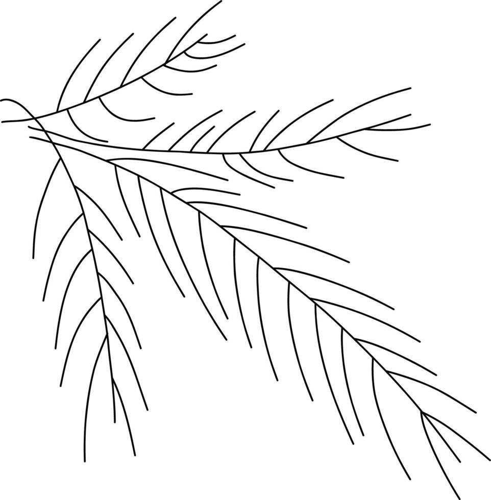 Spruce branches. Vector illustration. Linear hand drawing
