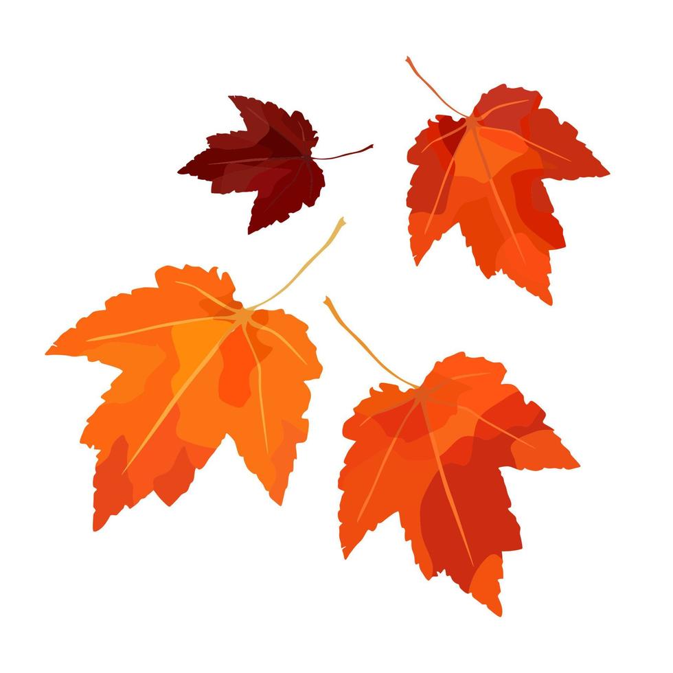 Vector set of autumn leaves. For autumn design, restaurant menu, desserts, invitation cards