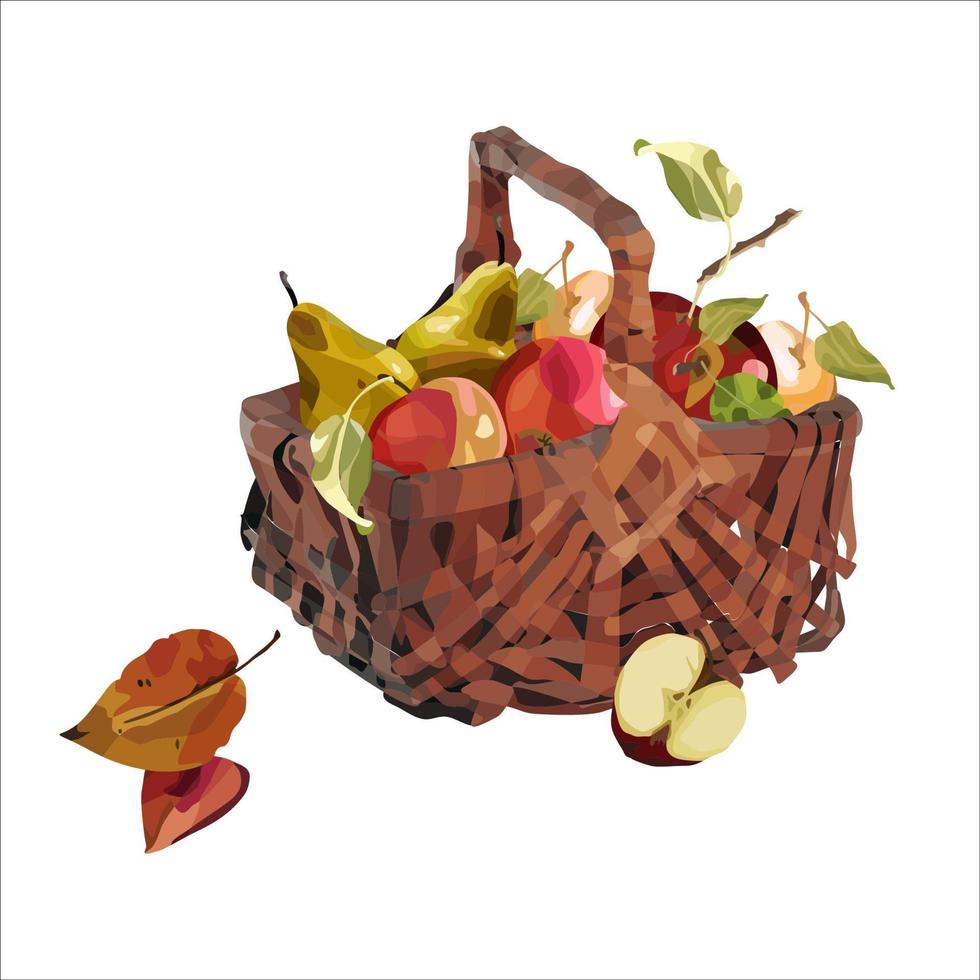 Vector basket of ripe apples. Autumn design of crops, fruits, agriculture